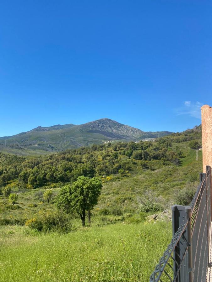 Très jolie mini villa douillette avec vue sur montagne Biguglia  Extérieur photo